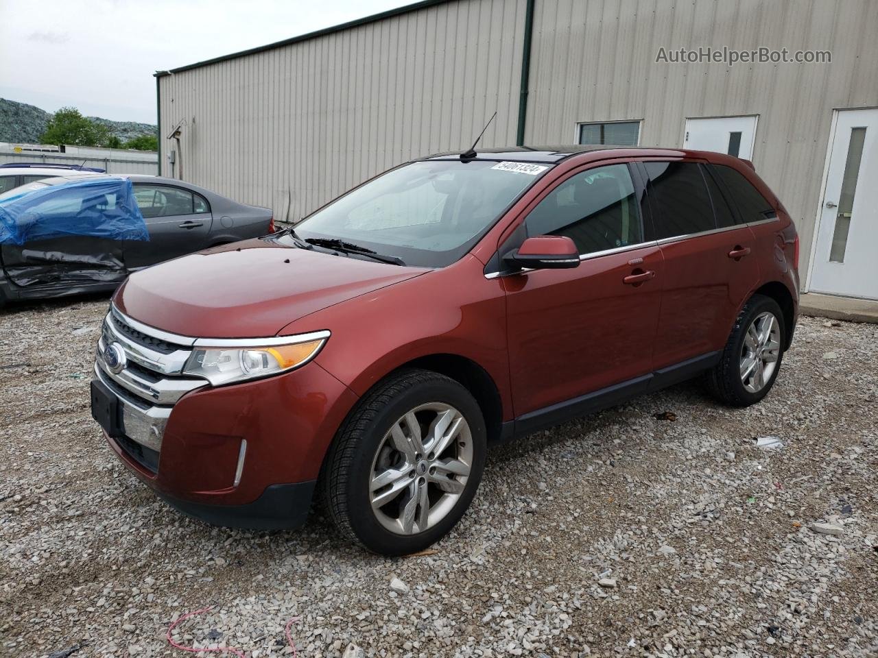 2014 Ford Edge Limited Оранжевый vin: 2FMDK4KC1EBA04750