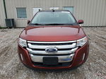 2014 Ford Edge Limited Оранжевый vin: 2FMDK4KC1EBA04750