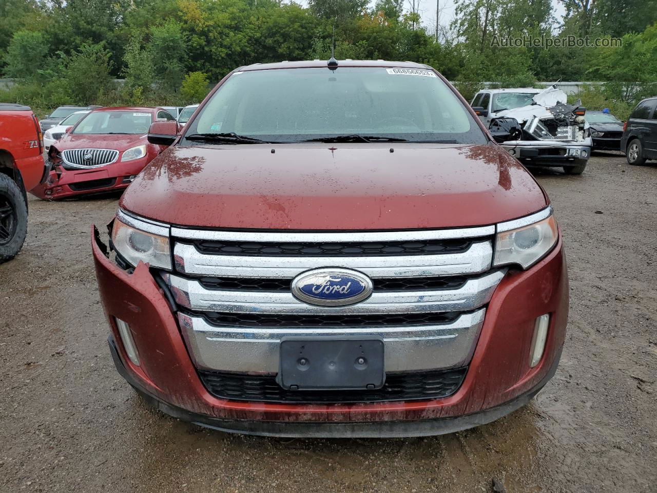 2014 Ford Edge Limited Brown vin: 2FMDK4KC4EBA54770