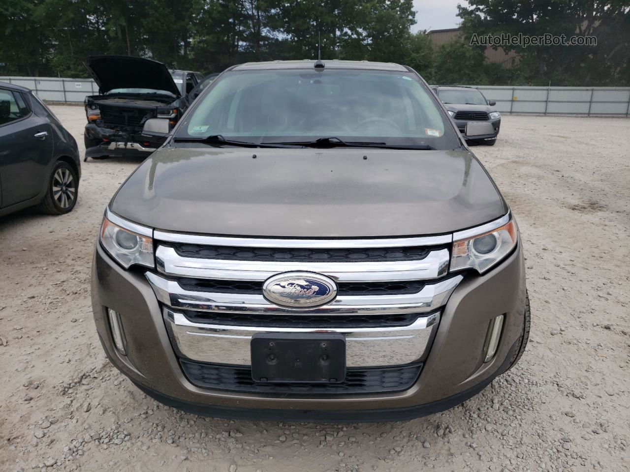 2014 Ford Edge Limited Кремовый vin: 2FMDK4KC9EBA13406