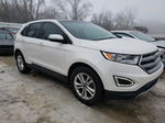 2015 Ford Edge Sel White vin: 2FMTK4J89FBB65566