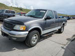 2003 Ford F150  Серый vin: 2FTRX18LX3CA79763