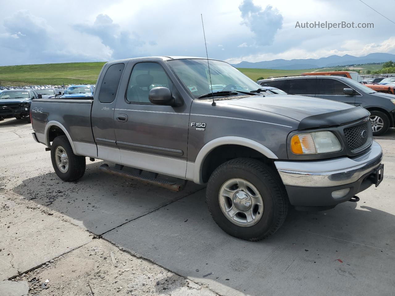 2003 Ford F150  Серый vin: 2FTRX18LX3CA79763