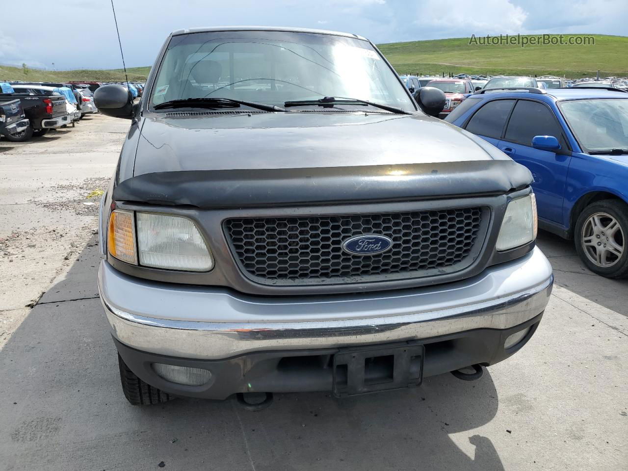 2003 Ford F150  Серый vin: 2FTRX18LX3CA79763