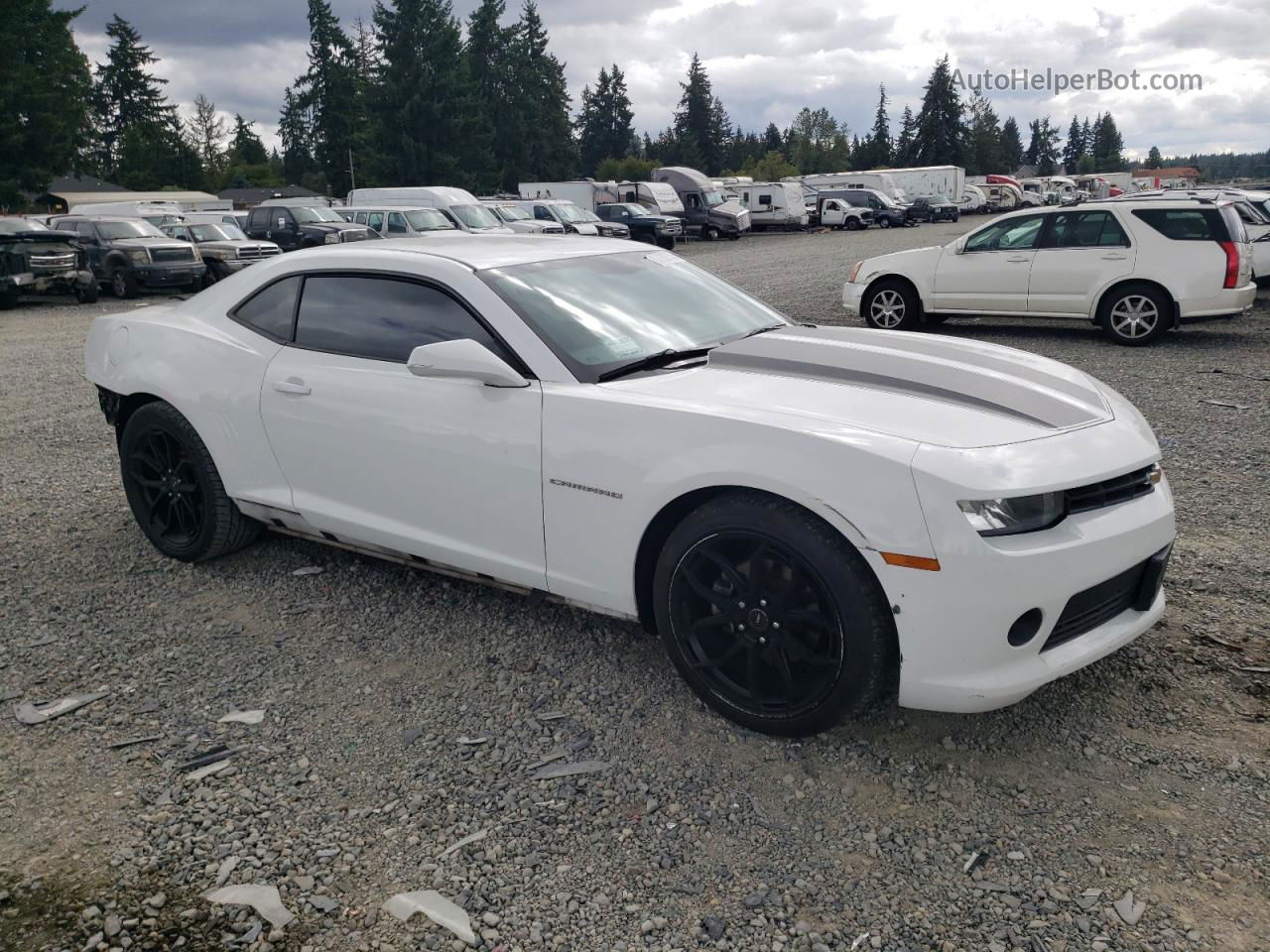 2014 Chevrolet Camaro Ls White vin: 2G1FA1E36E9244371