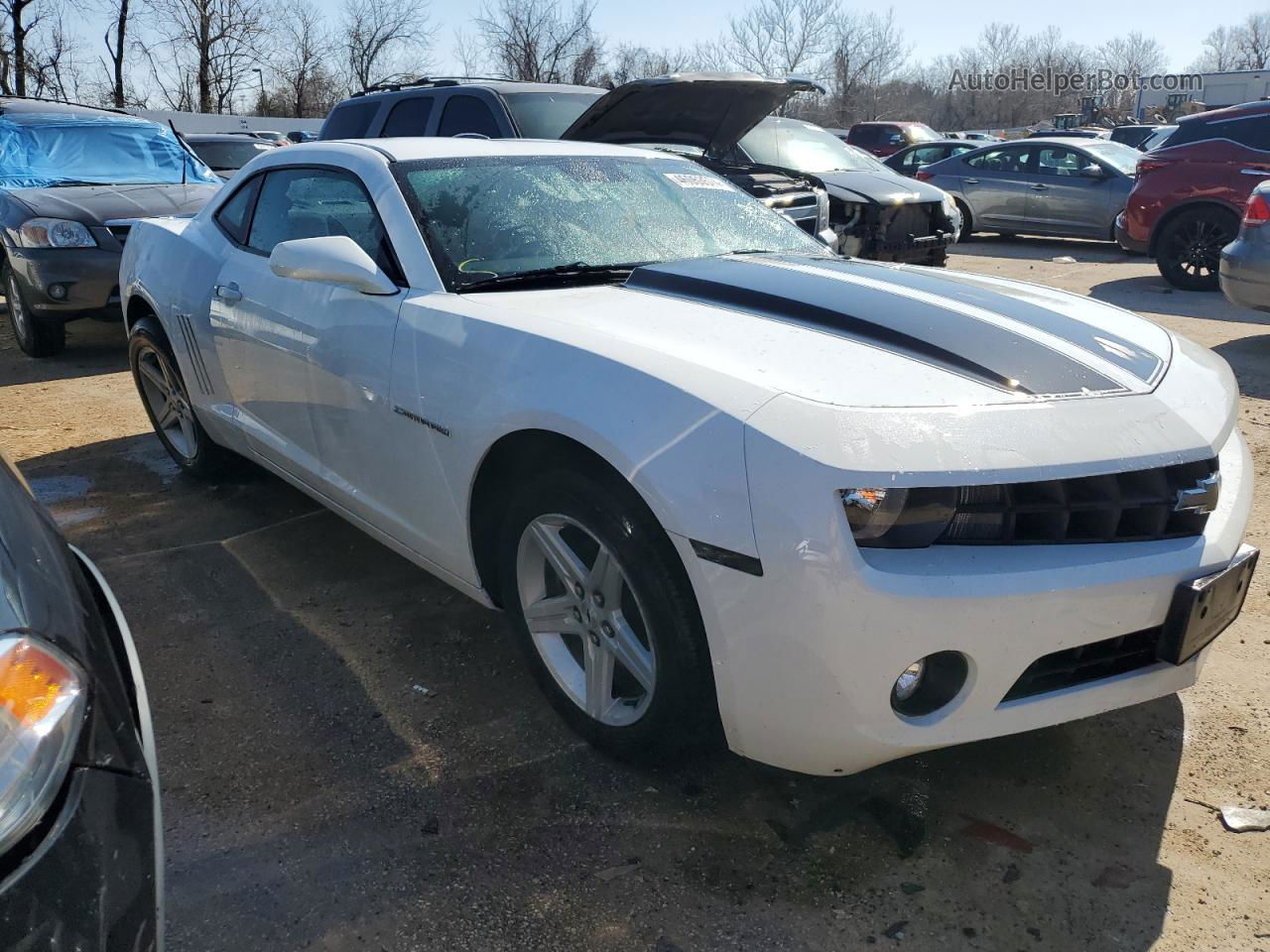 2010 Chevrolet Camaro Ls Белый vin: 2G1FA1EVXA9226936