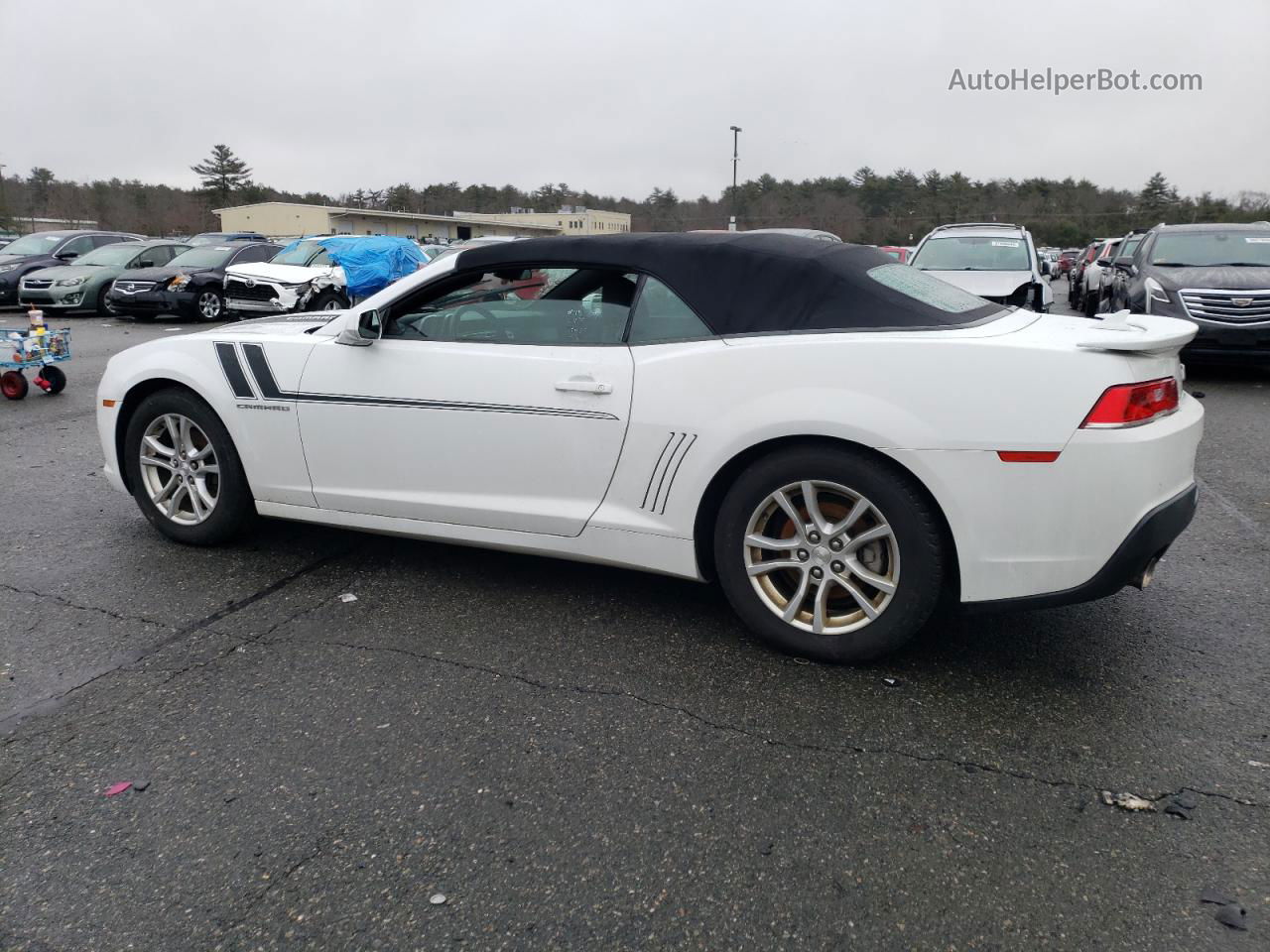 2014 Chevrolet Camaro Lt White vin: 2G1FB3D3XE9265346