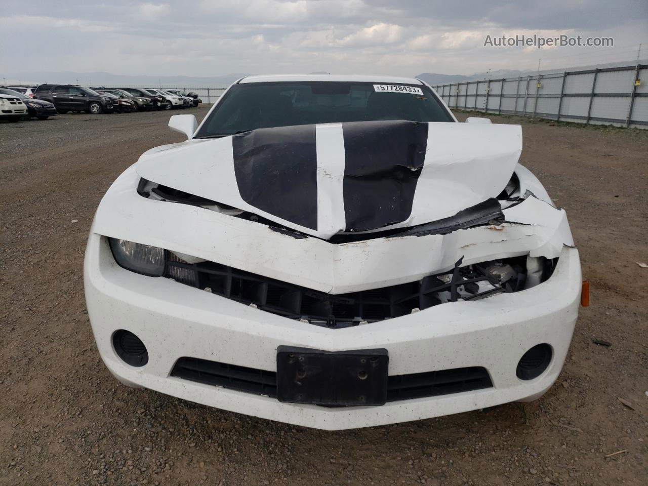 2010 Chevrolet Camaro Ls Белый vin: 2G1FE1EV7A9224825