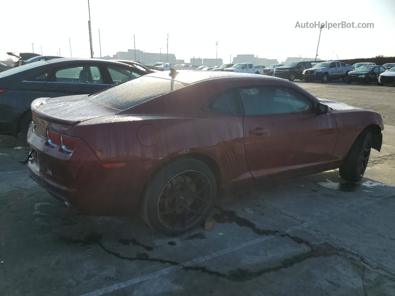 2010 Chevrolet Camaro Ss Burgundy vin: 2G1FJ1EJ3A9209604