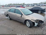 2006 Chevrolet Impala Lt Gold vin: 2G1WC581069351171