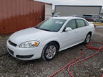 2011 Chevrolet Impala Lt White vin: 2G1WG5EK8B1156817