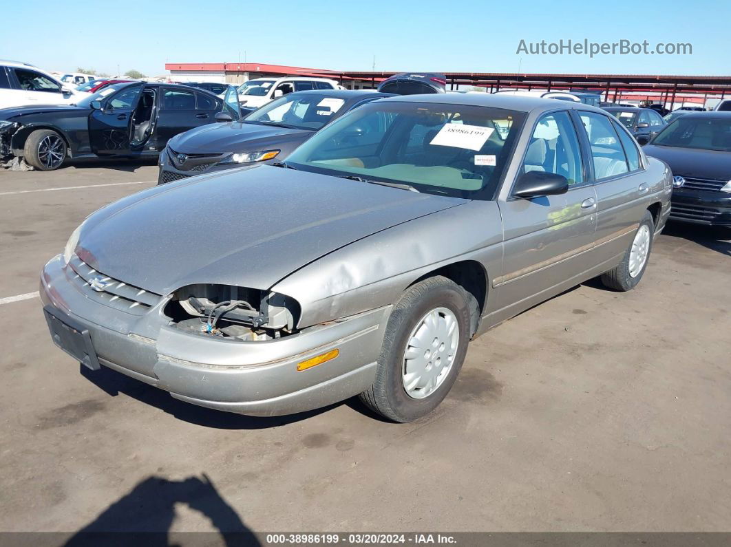 1999 Chevrolet Lumina   Серый vin: 2G1WL52M2X9161683