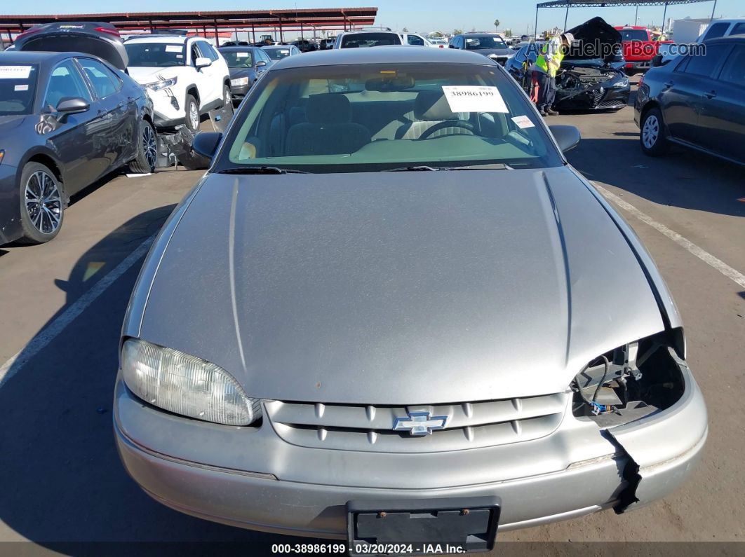 1999 Chevrolet Lumina   Gray vin: 2G1WL52M2X9161683