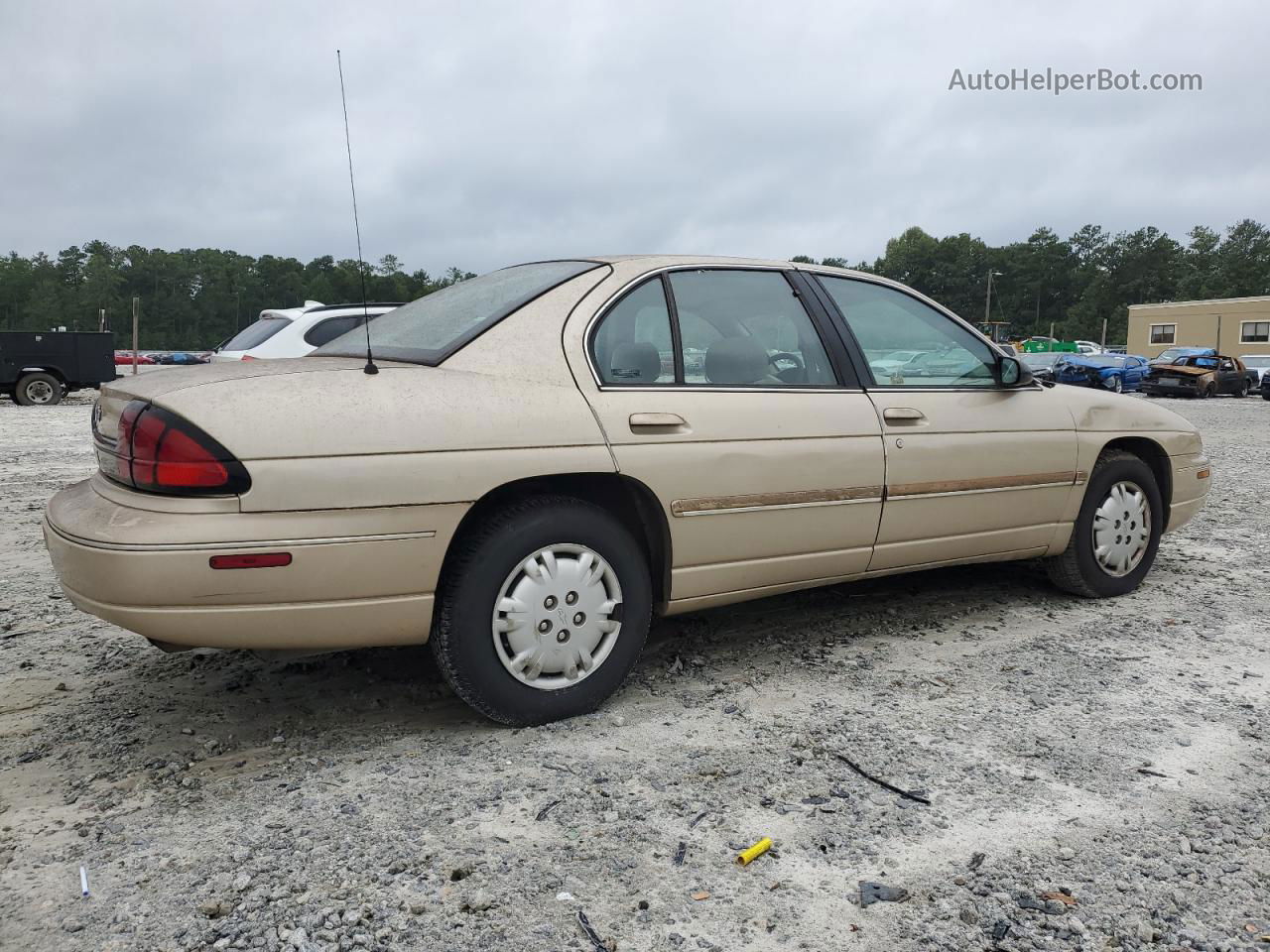 1999 Chevrolet Lumina Base Кремовый vin: 2G1WL52M4X9123033