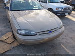 1999 Chevrolet Lumina Ls Бежевый vin: 2G1WL52M5X9246355