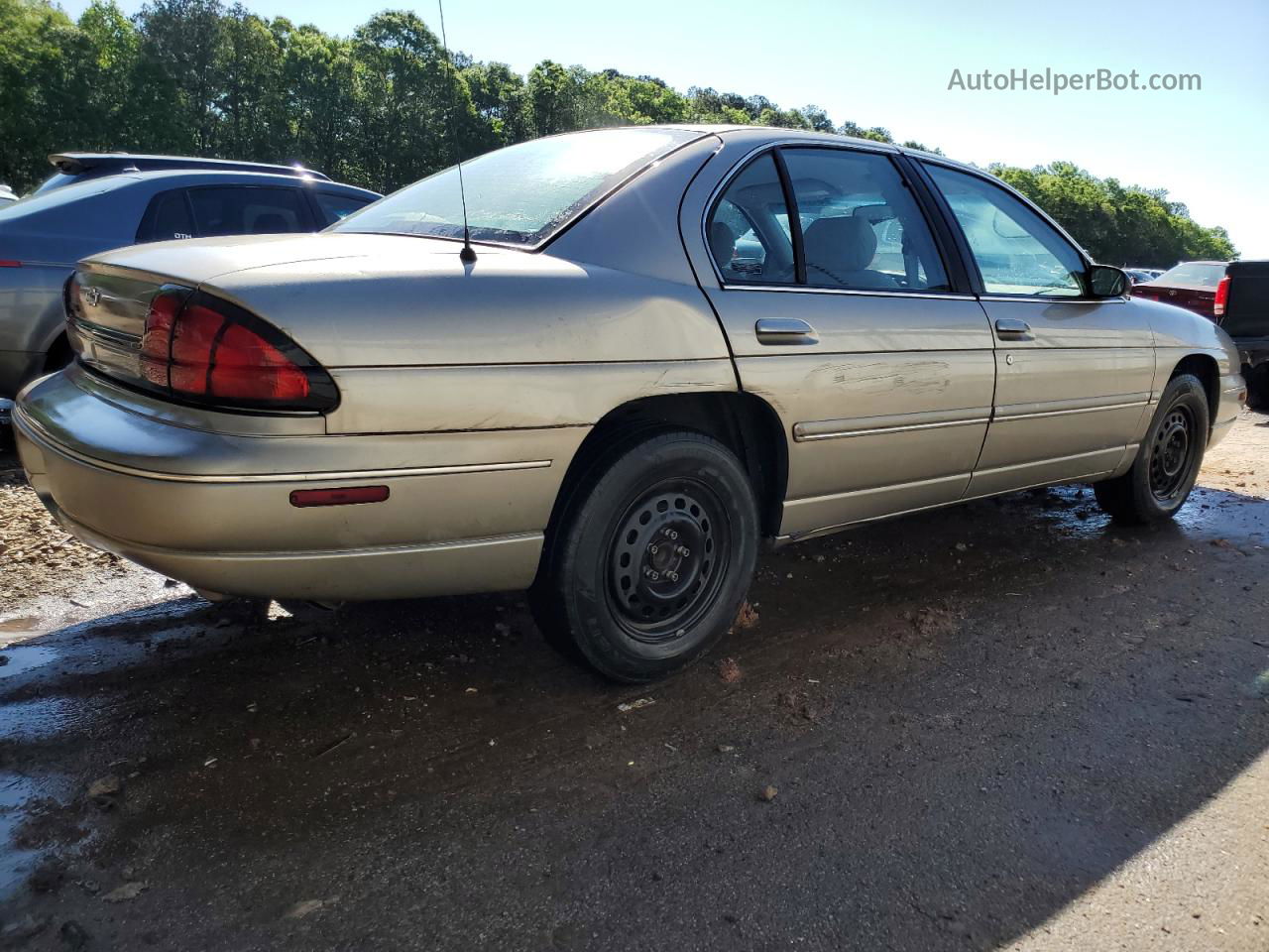 1999 Chevrolet Lumina Base Gray vin: 2G1WL52M6X9147639