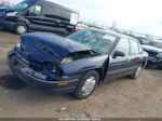 1999 Chevrolet Lumina   Синий vin: 2G1WL52MXX9218180