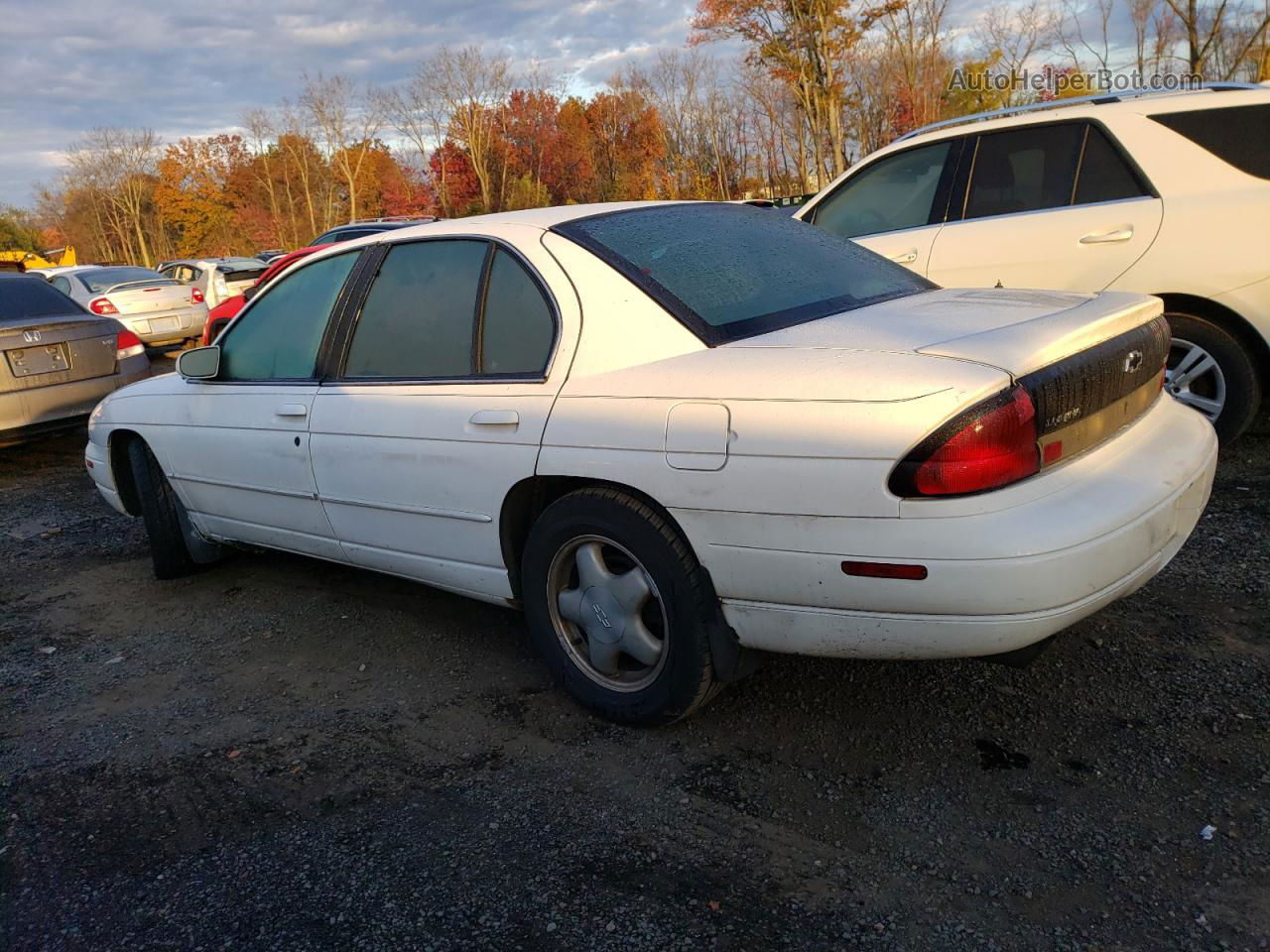 1999 Chevrolet Lumina Ltz White vin: 2G1WN52K4X9109660