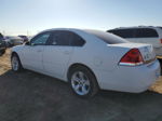 2006 Chevrolet Impala Lt White vin: 2G1WT58KX69111764