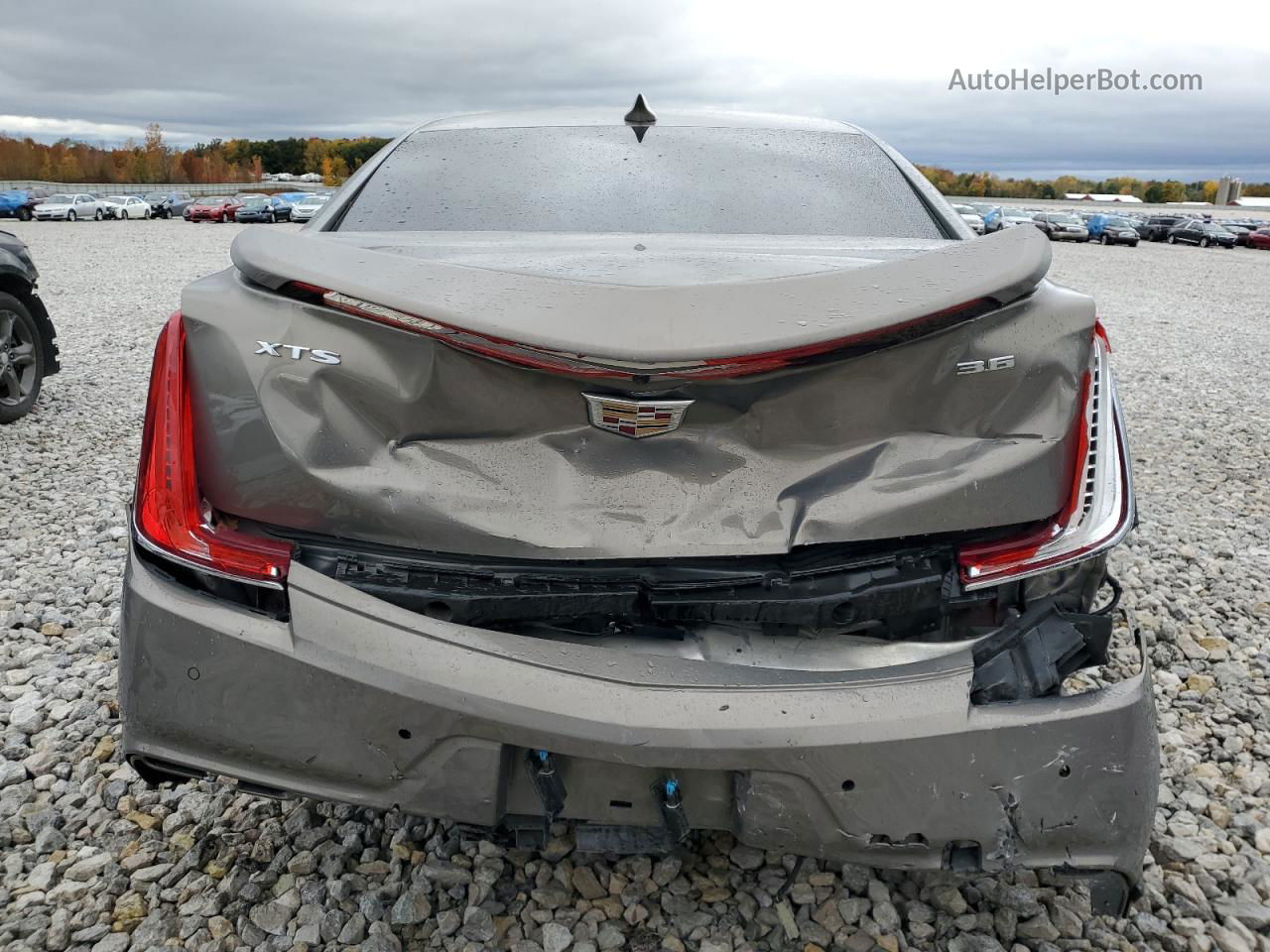 2019 Cadillac Xts  Серый vin: 2G61L5S34K9102090