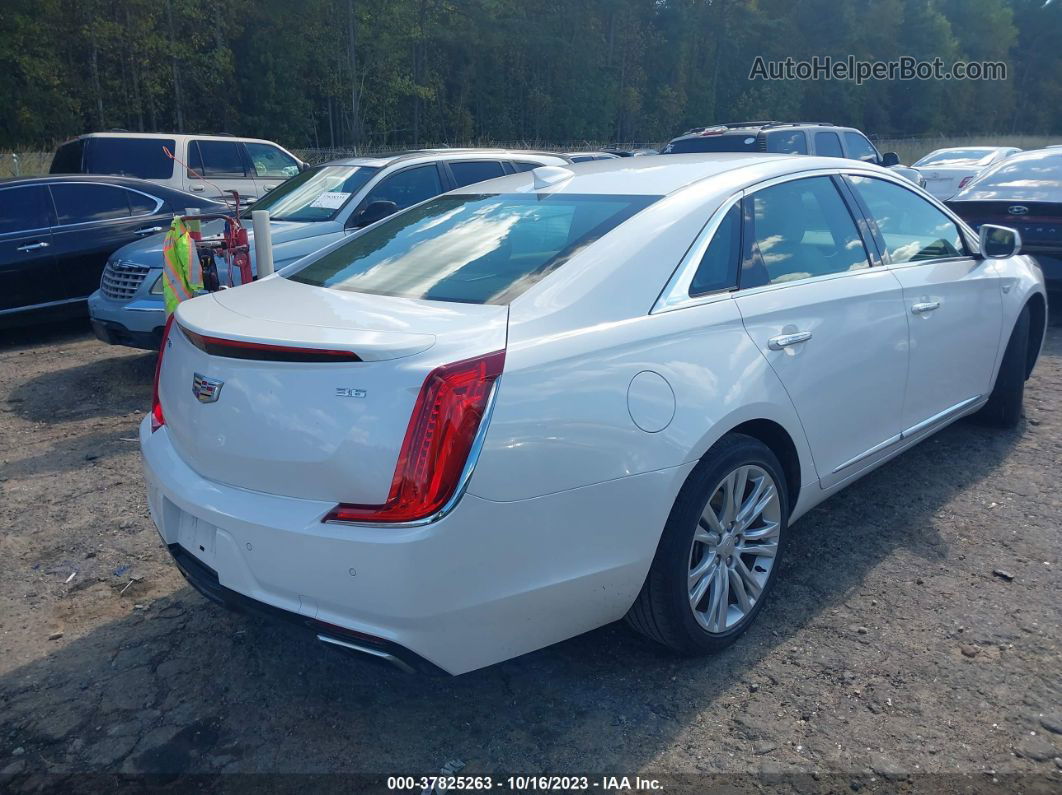 2019 Cadillac Xts Luxury White vin: 2G61M5S30K9138792