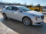 2019 Cadillac Xts Luxury White vin: 2G61M5S32K9129401