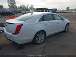 2019 Cadillac Xts Luxury White vin: 2G61M5S33K9129407