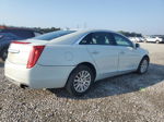 2013 Cadillac Xts Luxury Collection Белый vin: 2G61P5S39D9113173