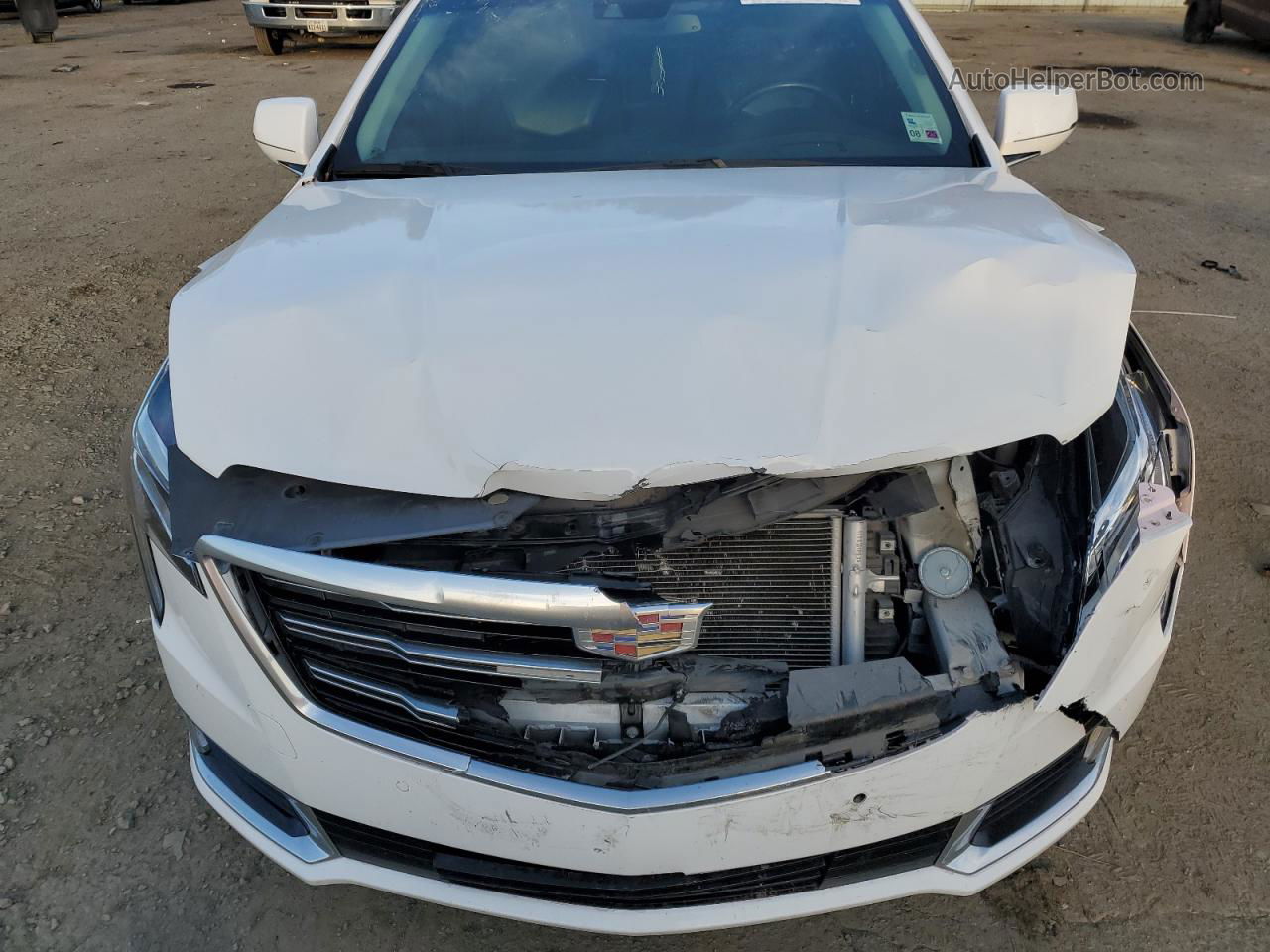 2019 Cadillac Xts Premium Luxury White vin: 2G61R5S3XK9129535