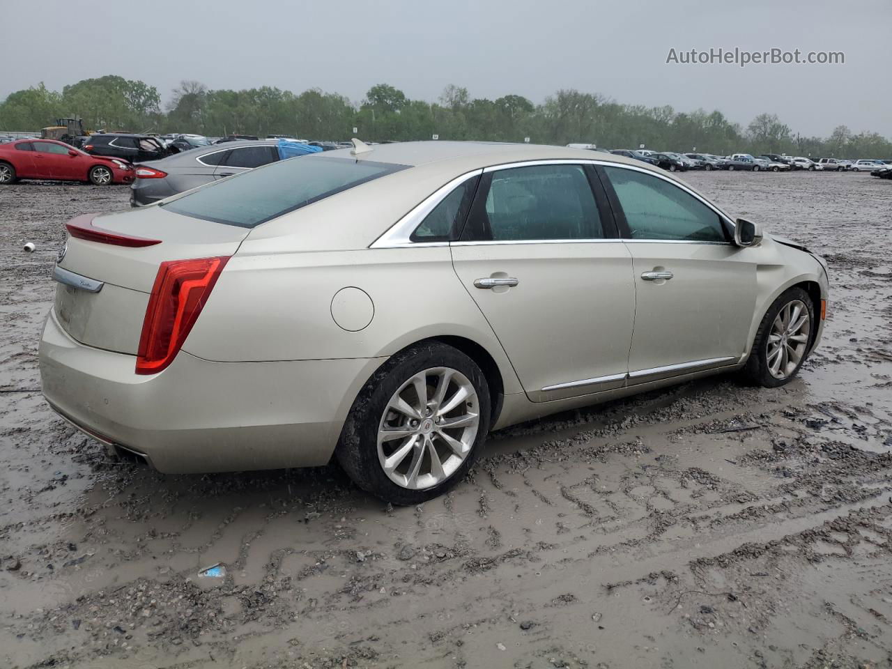 2013 Cadillac Xts Premium Collection Beige vin: 2G61S5S39D9134846