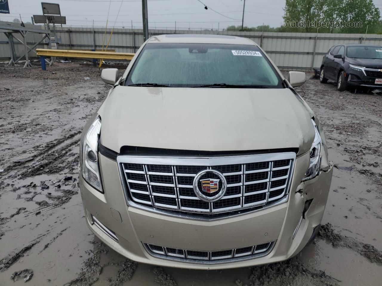 2013 Cadillac Xts Premium Collection Beige vin: 2G61S5S39D9134846