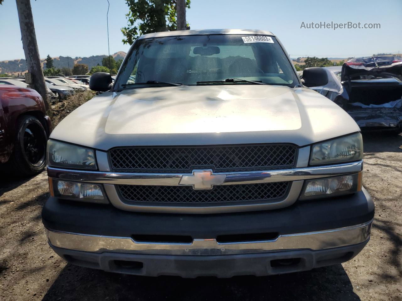 2003 Chevrolet Silverado C1500 Gray vin: 2GCEC19T131343831