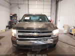 2008 Chevrolet Silverado 1500 Lt W/1lt Коричневый vin: 2GCEK13M881175763