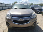 2012 Chevrolet Equinox Lt Brown vin: 2GNALDEK1C6378313