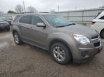 2012 Chevrolet Equinox Lt Brown vin: 2GNALDEK2C6178976