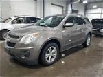 2012 Chevrolet Equinox Lt Brown vin: 2GNALDEK4C6115281