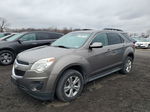 2012 Chevrolet Equinox Lt Tan vin: 2GNALDEK4C6195164