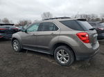 2012 Chevrolet Equinox Lt Tan vin: 2GNALDEK4C6195164