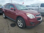 2012 Chevrolet Equinox Lt Maroon vin: 2GNALDEK6C6218346