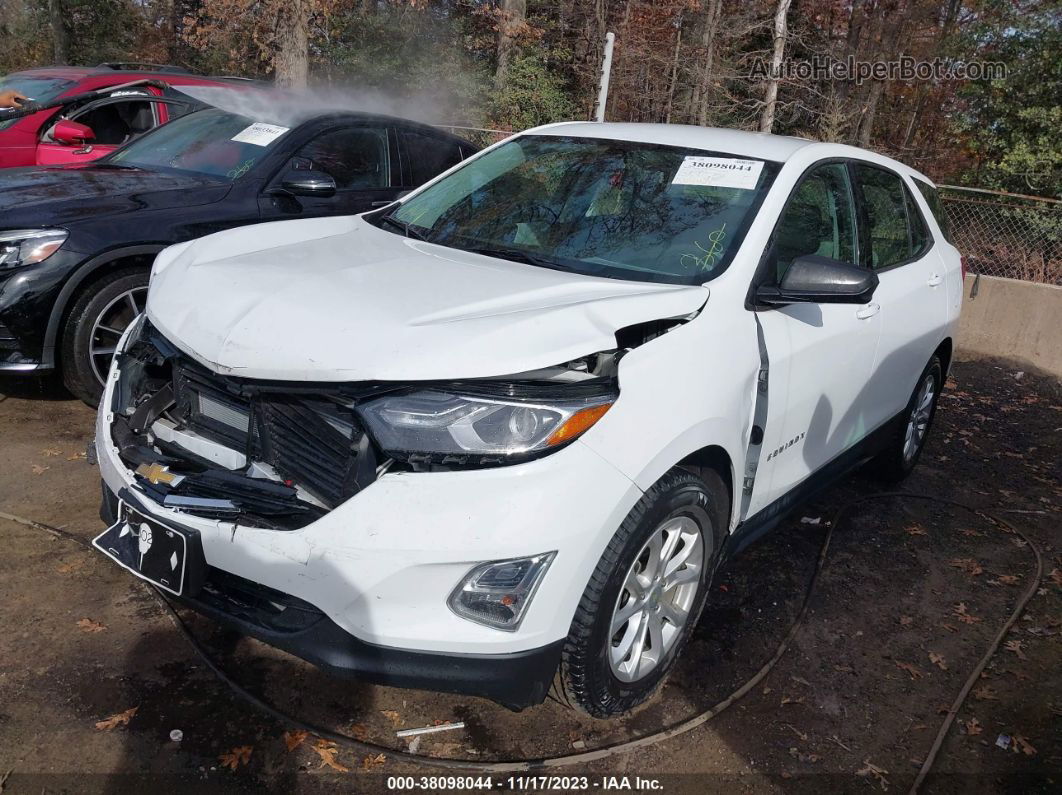 2018 Chevrolet Equinox Ls Белый vin: 2GNAXHEV9J6165628