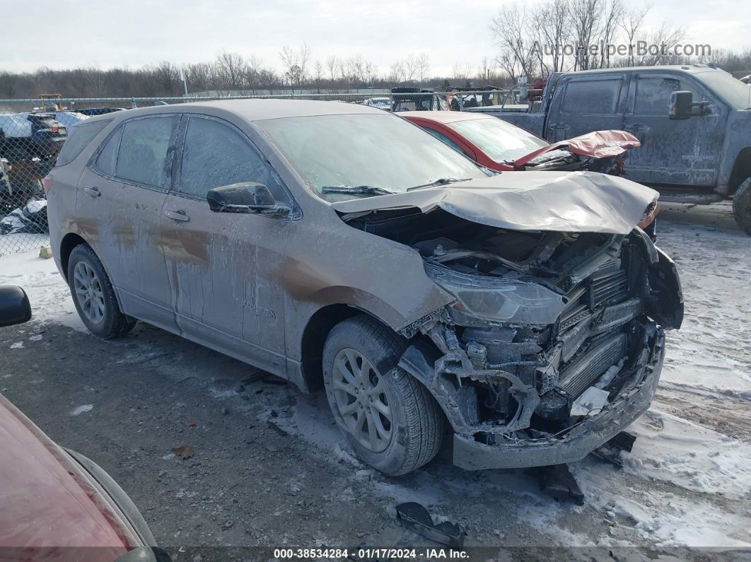 2019 Chevrolet Equinox Ls Brown vin: 2GNAXHEVXK6169687