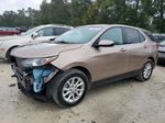 2018 Chevrolet Equinox Lt Brown vin: 2GNAXJEV1J6176761