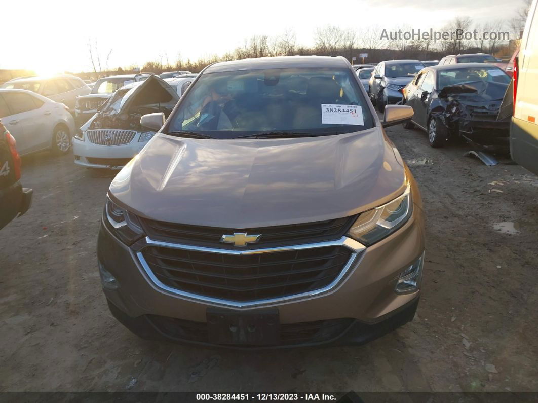 2019 Chevrolet Equinox Lt Champagne vin: 2GNAXJEV1K6255767