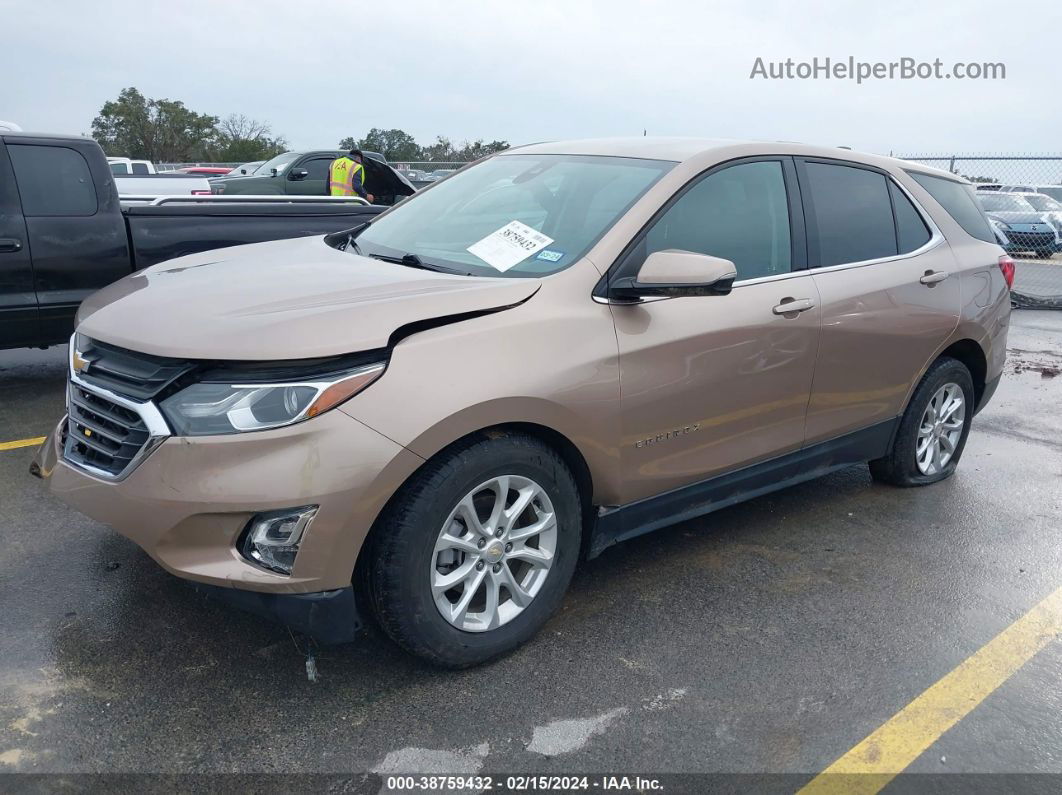 2019 Chevrolet Equinox Lt Золотой vin: 2GNAXJEV1K6260063