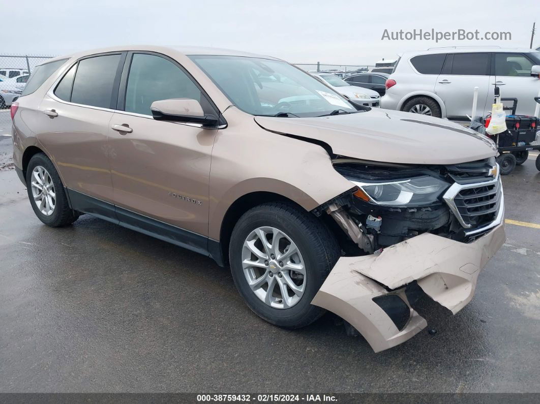 2019 Chevrolet Equinox Lt Золотой vin: 2GNAXJEV1K6260063