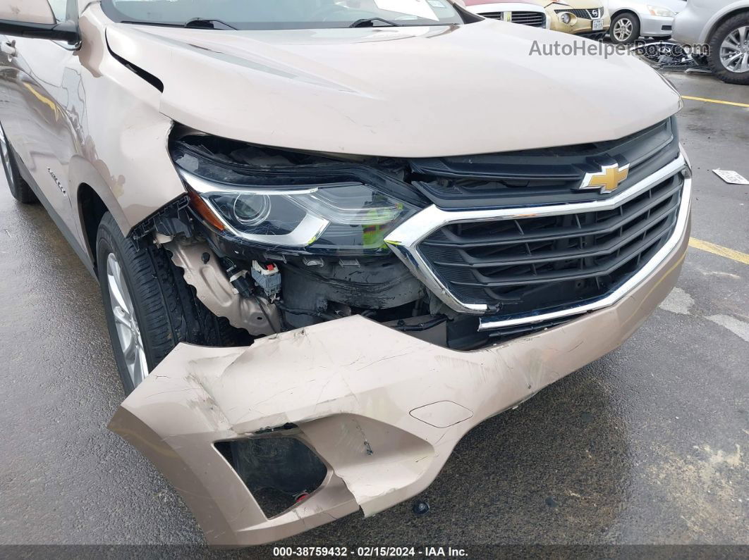 2019 Chevrolet Equinox Lt Золотой vin: 2GNAXJEV1K6260063