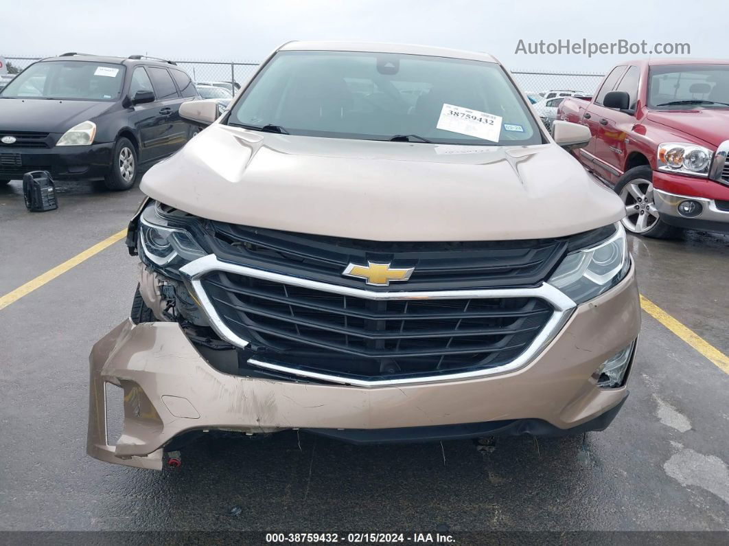 2019 Chevrolet Equinox Lt Золотой vin: 2GNAXJEV1K6260063