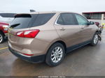 2019 Chevrolet Equinox Lt Золотой vin: 2GNAXJEV1K6260063