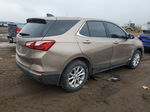 2018 Chevrolet Equinox Lt Золотой vin: 2GNAXJEV2J6175862