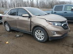 2018 Chevrolet Equinox Lt Золотой vin: 2GNAXJEV2J6175862